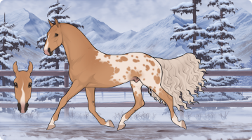 Thumbnail for 9967 Aspen