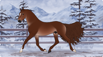 Thumbnail for 9998 Dogwitt