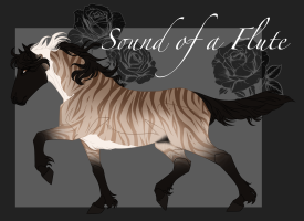 Thumbnail for 10003 Sound of a Flute