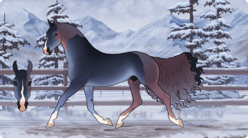 Thumbnail for 10051 Huckleberry