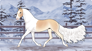 Thumbnail for 10055 JSS Shy Moscato