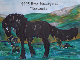 Thumbnail image for 9973 Bmr Staubgeist