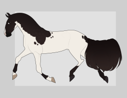 Thumbnail of 1920 SDE Callisto