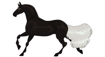 Thumbnail for 3889 SMA's Shine in the Dark