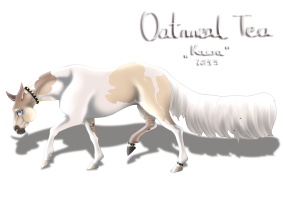 7833 Oatmeal Tea Thumbnail