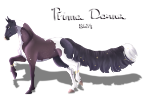 Thumbnail image for 8684 Prima Donna