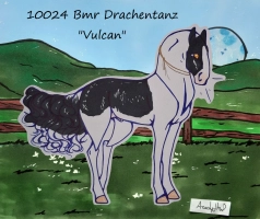 Thumbnail image for 10024 Bmr Drachentanz