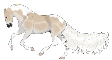 Thumbnail for 5421 LMC If Evers Girl