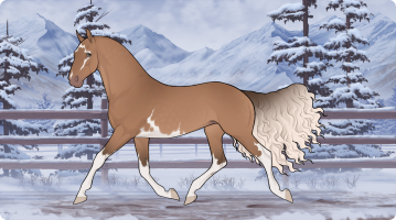 Thumbnail for 10107 SRS Alopecia