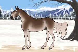 Thumbnail for 2210 Lakeside's Sundog