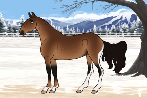 Thumbnail for 7527 Lakeside's Brown Sugar