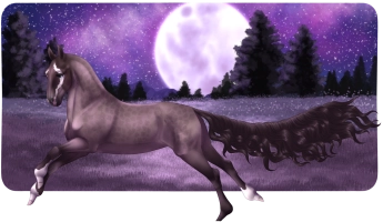 Thumbnail image for 6999 Amaranth Wishes