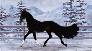 Thumbnail for 10133 Mort's Seymour