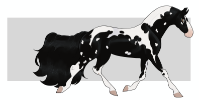 6882 Midnight Twist Thumbnail