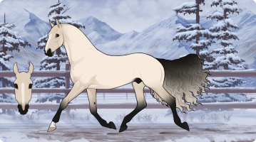 Thumbnail for 10157 PPC Dani California