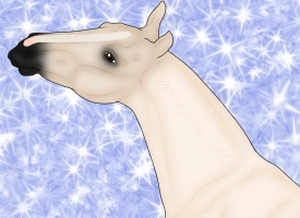 Thumbnail of 10157 PPC Dani California