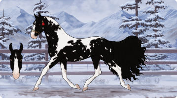 Thumbnail of 6882 Midnight Twist