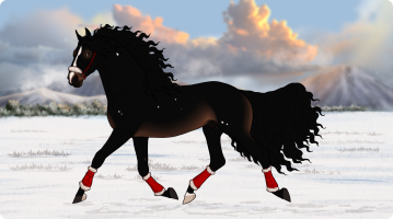 Thumbnail for 10178 My Brother My Captain My King