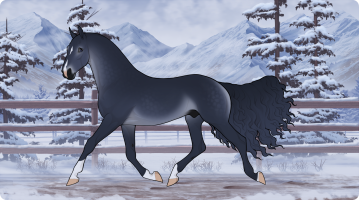 Thumbnail for 10238 CCS Blue Suede Shoes