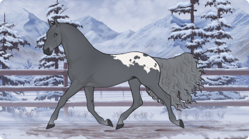 Thumbnail for 8061 Blanket Hog