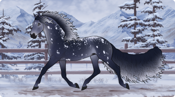 Thumbnail for 10286 Midnight Frost