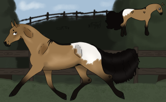 Thumbnail for 1822 SCE Golden Delicious