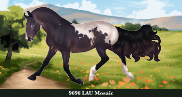 Thumbnail for 9696 LAU Mosaic