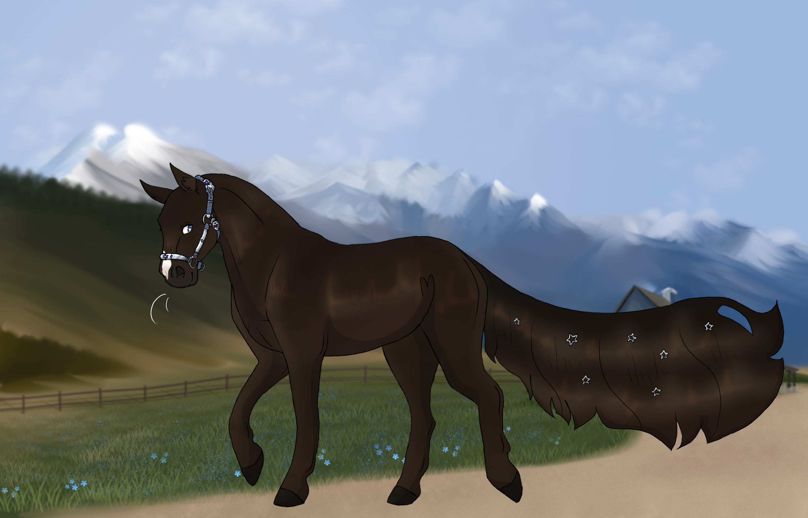 0634 RPH Meteor Shower