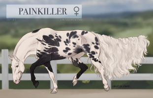 7885 Painkiller Thumbnail