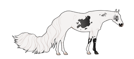 Thumbnail for 6262 BT Words From The Dying