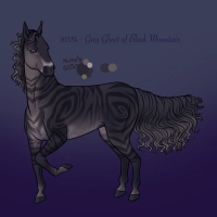 10354 Grey Ghost of Black Mountain