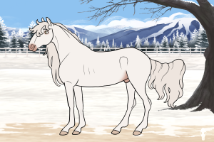 Thumbnail for 10316 Lakeside's The White Wolf