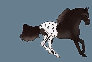Thumbnail for 6569 LF Cypress and Star