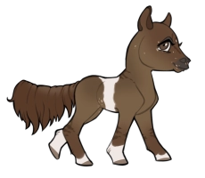 Thumbnail for 7605 Allspice