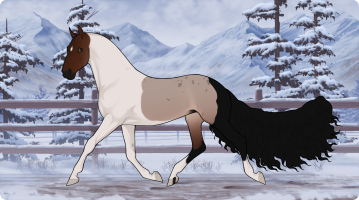 Thumbnail for 10430 TP Gwendolyn