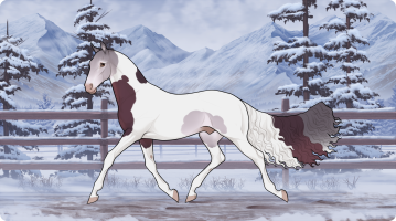 Thumbnail for 10434 SS Cabernet Sauvignon