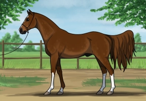 Thumbnail for 8854 RWS A Cool Cat