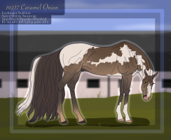 Thumbnail for 10237 Caramel Onion