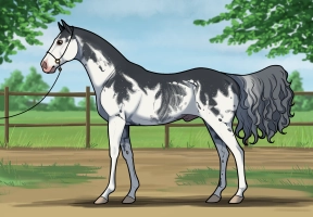 Thumbnail for 8853 Damask Disguise