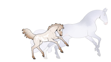 Thumbnail of 10452