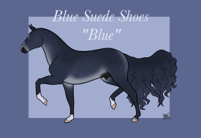 Thumbnail for 10238 CCS Blue Suede Shoes