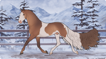 Thumbnail for 10478 BE Cortado