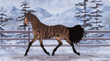 Thumbnail for 10497 Blue 'Razz-berry Seeds