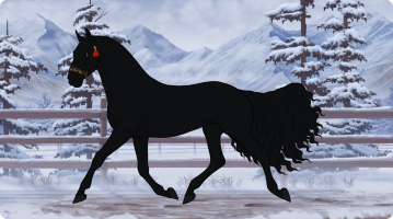 Thumbnail image for 10504