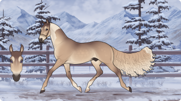 Thumbnail for 10402 Morning Latte