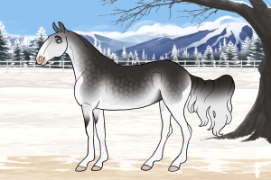 Thumbnail for 9037 Lakeside's Lady Gray