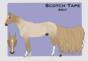 Thumbnail for 8507 Scotch Tape