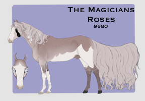 Thumbnail for 9680 The Magicians Roses