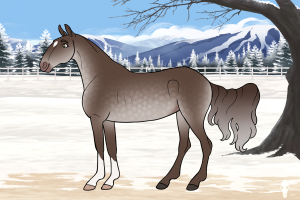 Thumbnail for 4035 Lakeside's Salt and Pepper