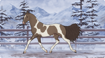 Thumbnail for 10659 DAR Roman Streaker